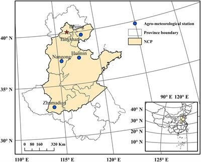 Simulation of Wheat Response to Future Climate Change Based on Coupled Model Inter-Comparison Project Phase 6 Multi-Model Ensemble Projections in the North China Plain